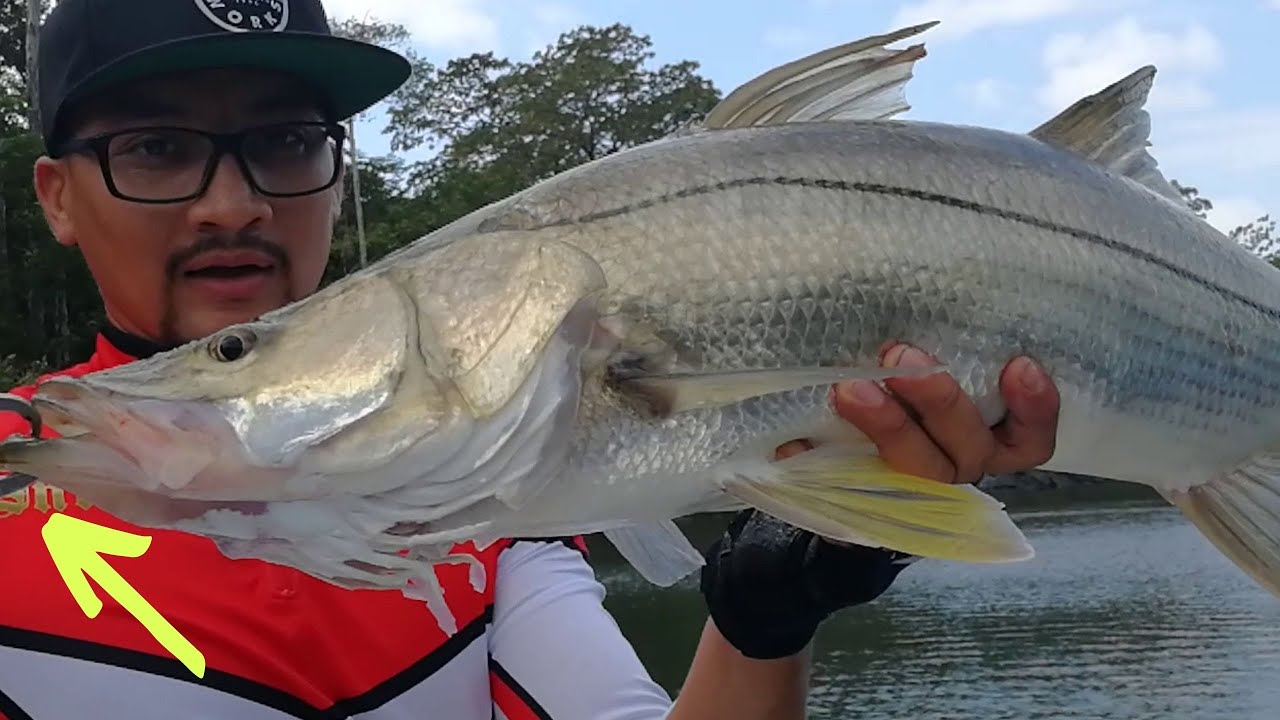 ((DESCUBRE)) 🙌1 SEÑUELO para ROBALO en el río✅