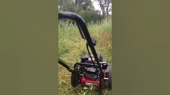 Field mower / String Mower