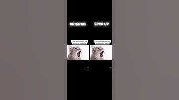 Thumbnail of Here's the sped up version! #spedup #fyp #roadto100subs #scary #cat #meow #cutecat #death #creepy