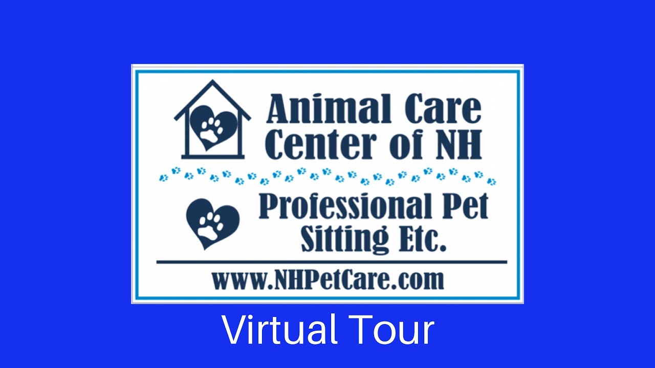 Animal Care Center of NH Virtual Tour, Merrimack, NH September 2020
