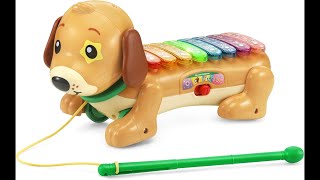 Vtech Zoo Jamz Doggy Xylophone Musical Toy For Toddlers