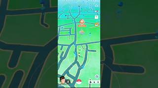 Found Shiny Bellsprout In The Wild.