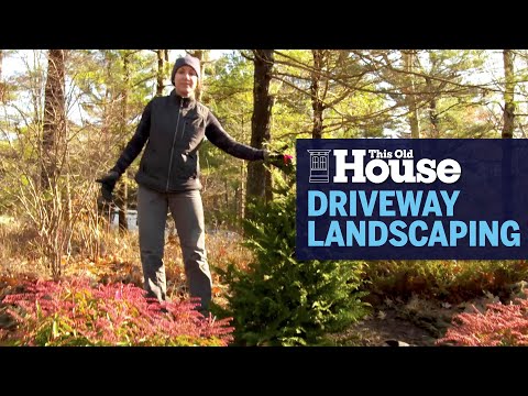 How to Plant Perennials Next to a Driveway | This Old House