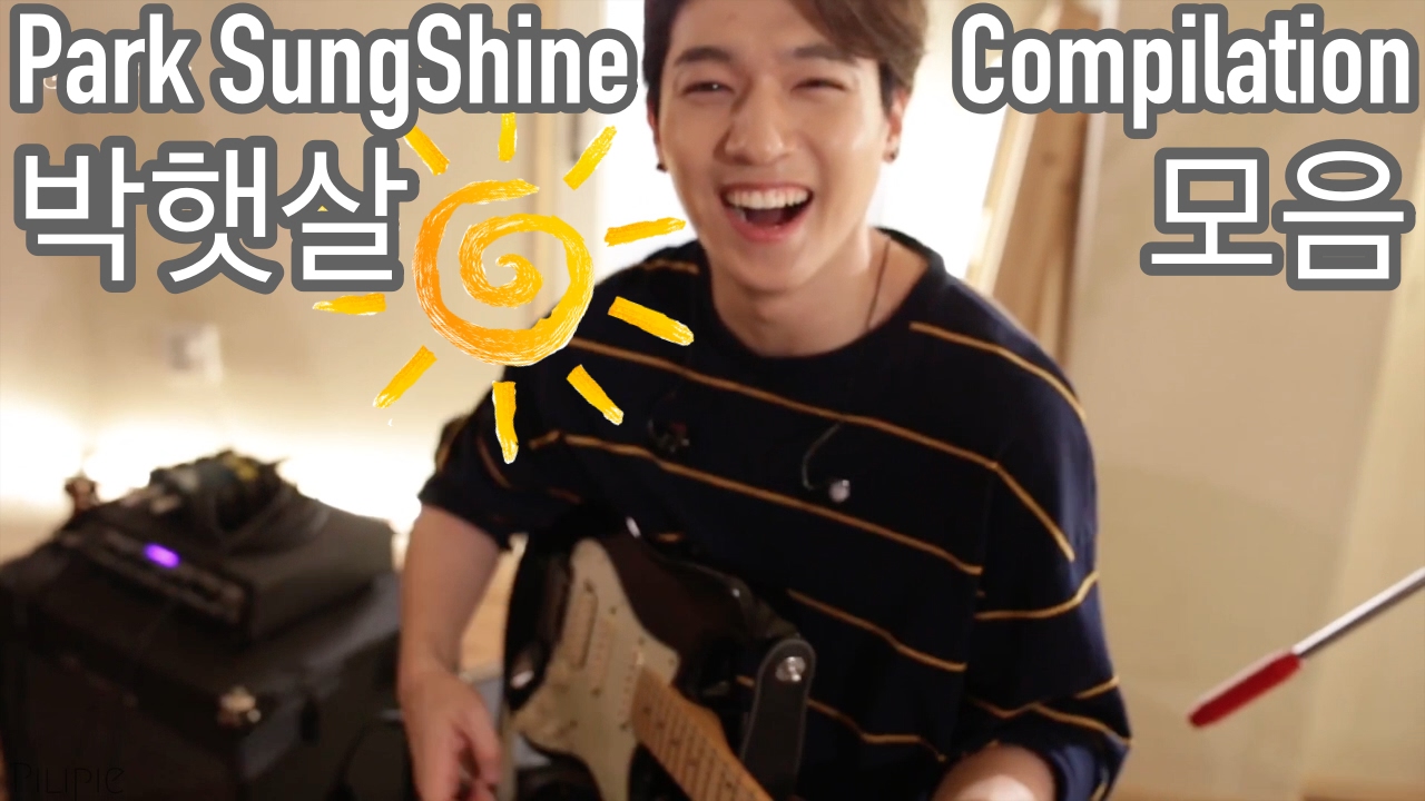 DAY6 Sungjin 데이식스 성진 (Park Sungshine Compilation 박햇살 모음)