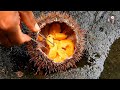 Como abrir un erizo de mar. ||  How to catch a sea urchin.