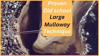 River Mulloway Fishing: Proven Old School Method