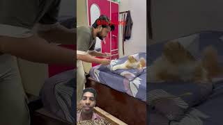 Billu ji neta #Billu comedy Sajid #catvideo #catshort #short #video #youtube