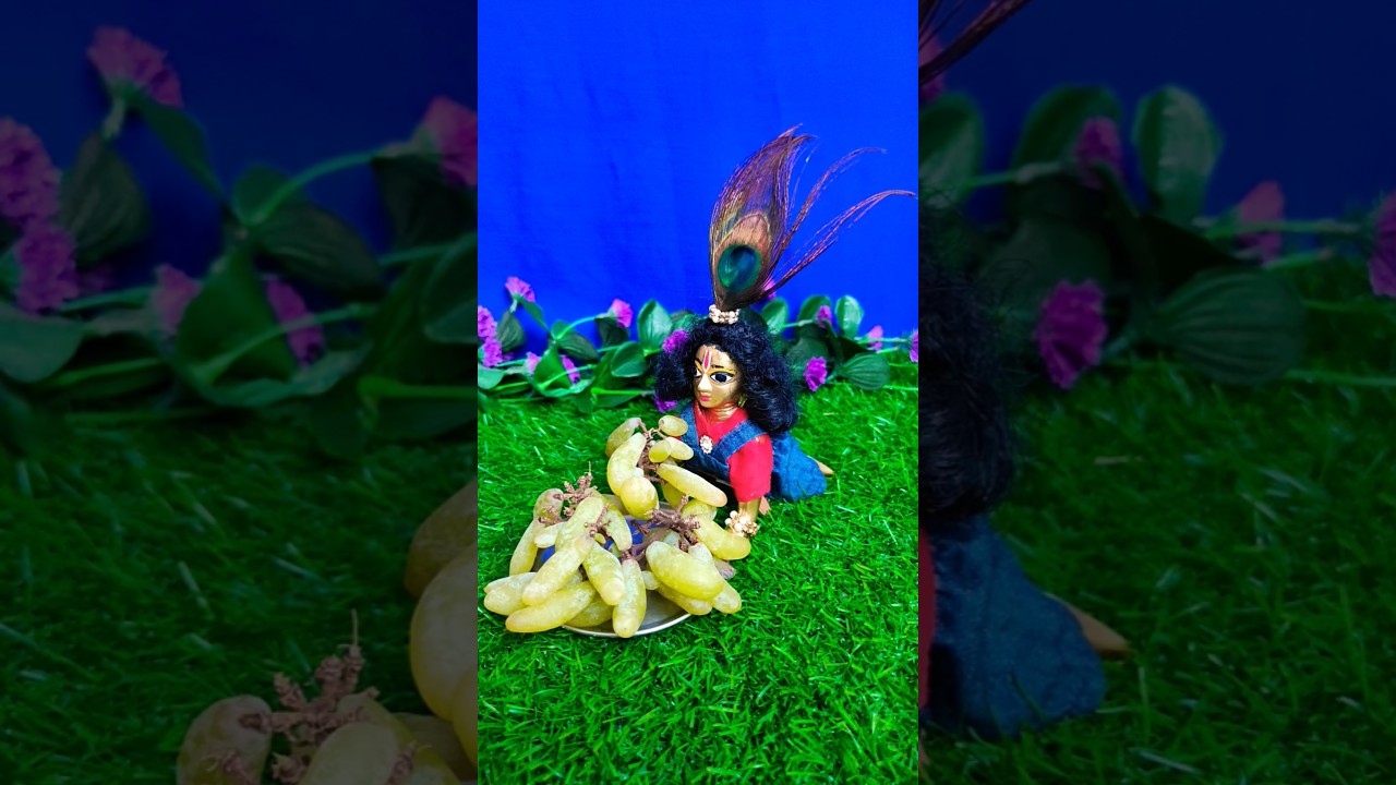 krishna ko fal🫒 chahiye 