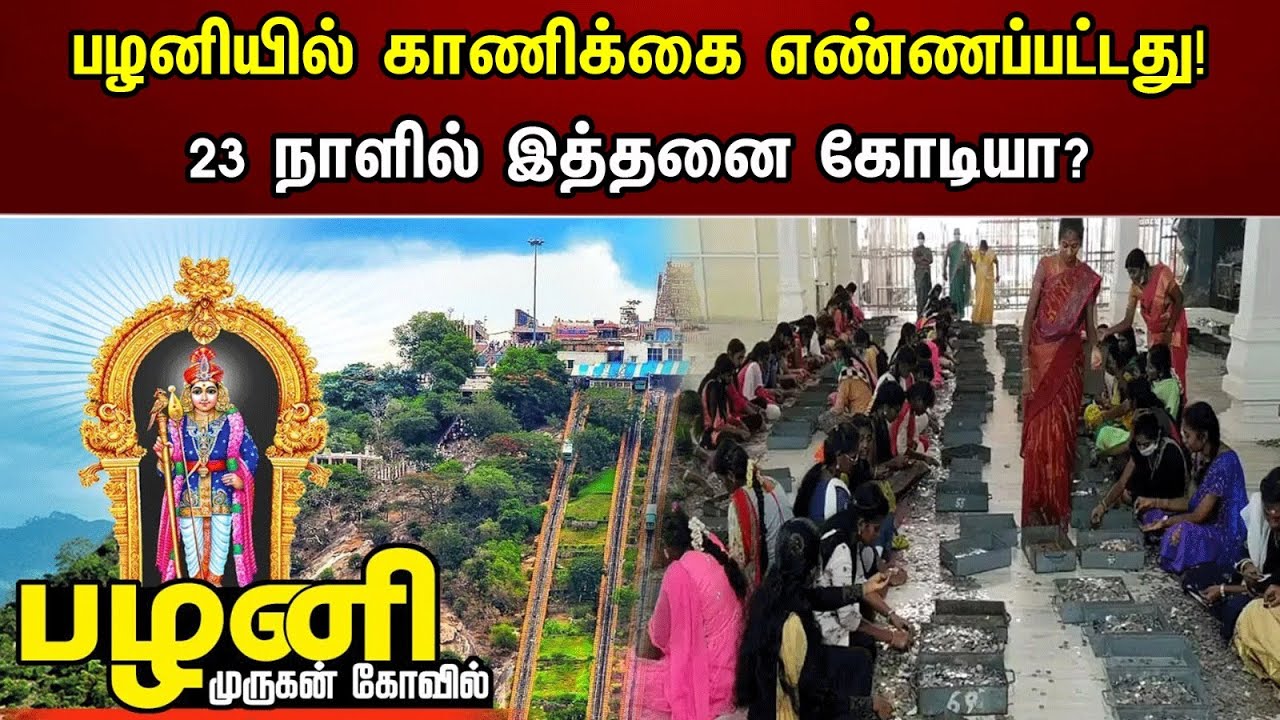 பழனியில் காணிக்கை எண்ணப்பட்டது! 23 நாளில் இத்தனை கோடியா? | Palani Murugan Temple offering Counting