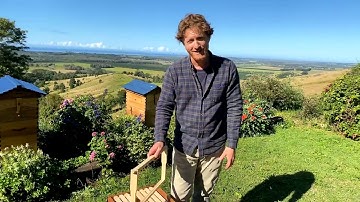 Beginner Beekeepers Q&A with Cedar Anderson