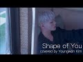 Shape of You (Song cover by Kim youngwon)