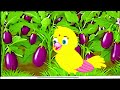 টুনির বেগুন খেত | বাংলা কার্টুন ভিডিও #cartoon #treding #funnycartoon