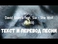 David Guetta feat. Sia - She Wolf (lyrics текст и перевод песни)