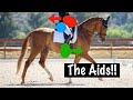 The Aids - How to "Talk to your Horse"