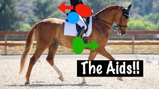 The Aids  How to 'Talk to your Horse'