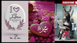 Bestedit For Muslims In The World