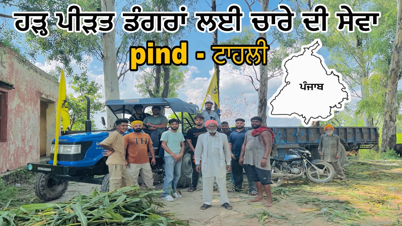 ਹੜ੍ਹ ਪੀੜਤ ਡੰਗਰਾਂ ਲਈ ਚਾਰੇ ਦੀ ਸੇਵਾ [ ਪਾਣੀ ਦੀ ਮਾਰ ਥੱਲੇ ਆਈਆ ਫਸਲਾਂ 🌾 🙏🏻 
