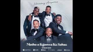 Ndikhokhele by Mohlakeng acapellas