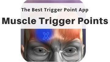The Best Trigger Point App: Muscle Trigger Points - Massage Monday 404