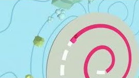 Line Color 3D Android Game | Anexa Gaming TV | VID - 71