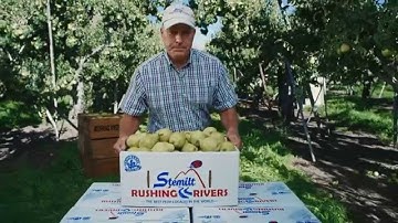 Stemilt Rushing River Pears