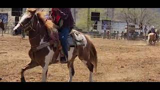 Cascalote de bravo toros del día sábado 2024