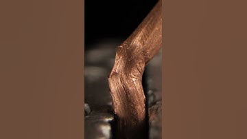 Breaking the Wire in Macro 🗜 #shorts