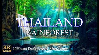 Jungle Roots & Healing Waters | The Ultimate Nature Escape
