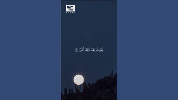 لَا تَدرِي لَعَلَّ اللَّهَ يُحْدِثُ بَعد ذَٰلِكَ أَمْرًا(1)...سورة الطلاق الشيخ فارس عباد#faresabbad