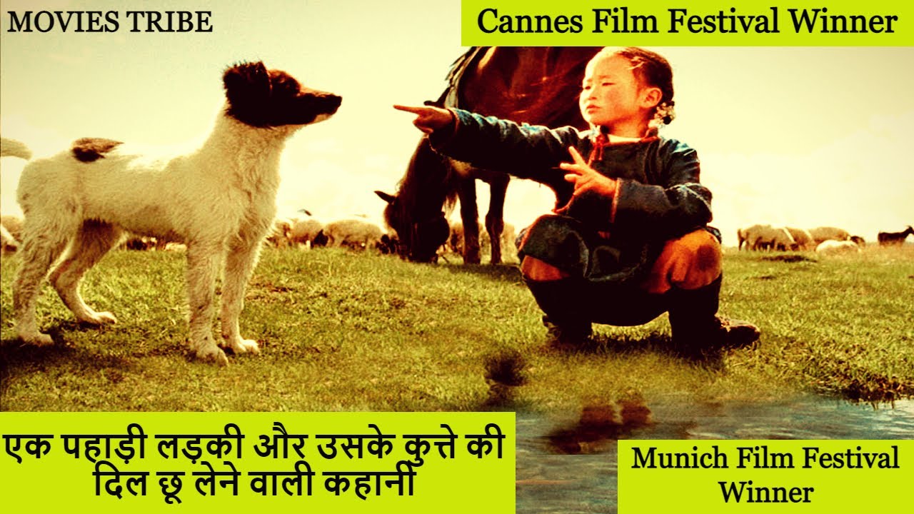 The Cave of the Yellow Dog(2005) Explained in Hindi Movies