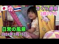 日常の風景🌸さくら通信🌸2024年3月15日🌸日泰ハーフ3歳3ヶ月