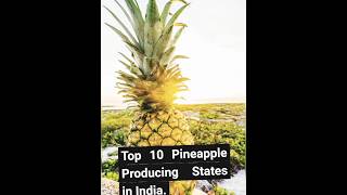 Top 10 Pineapple Producing States In India|#knowledge#trend#top10 #shortsfeed #viral#top#india#world