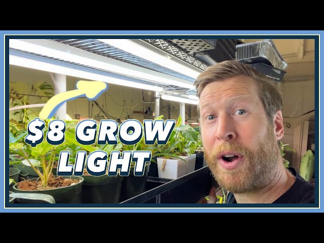 DON'T BUY Grow Lights 