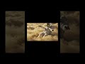 what if you walk on saturn!!