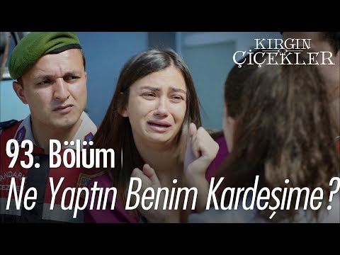 Ne yaptın benim kardeşime? - Kırgın Çiçekler 93. Bölüm