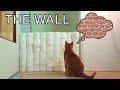 Alvi cat : toilet paper wall - jumping skills test