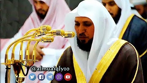 تلاوة كردية آسرة من الشيخ د. ماهر المعيقلي لفـواتح سـورة الحجرات | عشاء الأربعاء ١-٦-١٤٤٠هـ
