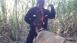 Burra Y El Comandante Chapa Parte El Chiste Oficial.