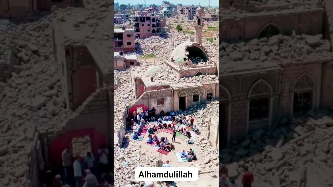 Gaza video / palestine video/ 🇵🇸 ♥️ 