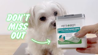 The Teeth Cleaning Hack Your Dog Will LOVE!  Vet's Best Finger Wipes Review!