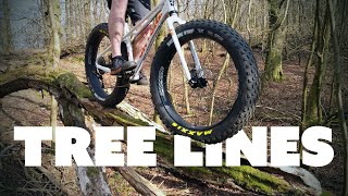 Tree Lines : Fat Bike Trials