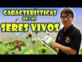  biologa free   seres vivos  caractersticas vitales 