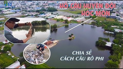 Câu Cá Rô Phi Hồ Bán Tự Nhiên | Cách Câu Cá Rô Phi Bao Dính Tại Hồ Huyện Đội Hóc Môn TPH HCM