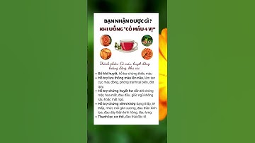 Bạn nhận được gì khi uống Cỏ máu 4 vị  🇻🇳🇧🇷
