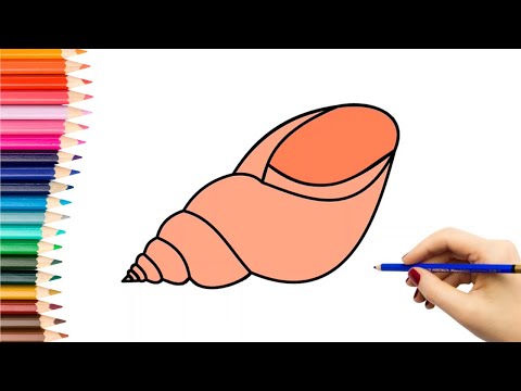 Kaip nupiešti KRIAUKLĘ | How to draw a shell