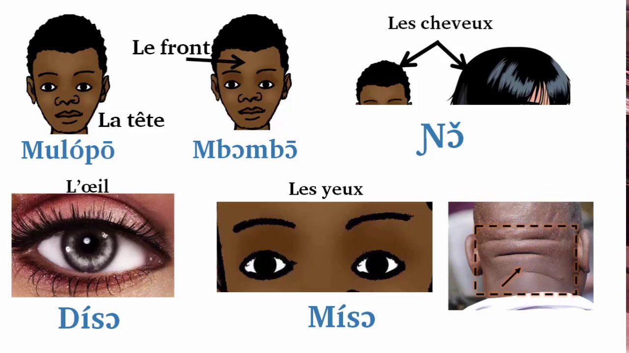 ⁣Les parties du corps humain en langue Duala