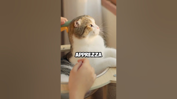 Cosa fare se il gatto porta a casa topi e uccellini?