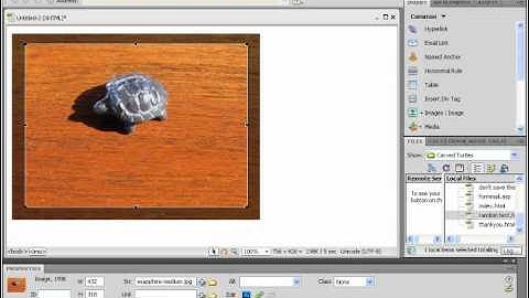 Dreamweaver CS5 Tutorial Cropping Images Adobe Training Lesson 4.9