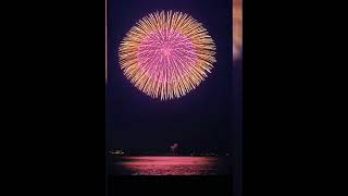fireworks | fireworks animation | fireworks show | fireworks 2022 | firework | Soft Heart screenshot 4