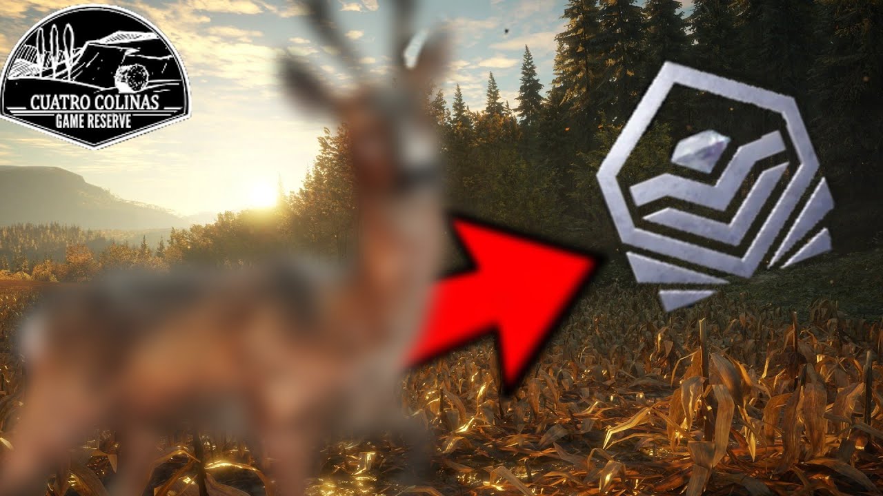 The Hunter Call Of The Wild Diamant Tiere Finden Das erste Diamant Reh seit 2 Jahren!?The Hunter Call of the Wild